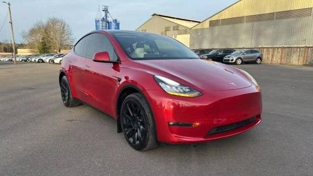 TESLA MODEL Y 2021 5YJYGDEE5MF269886 image